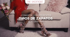 ¿Conoces los diferentes tipos de zapatos que existen?